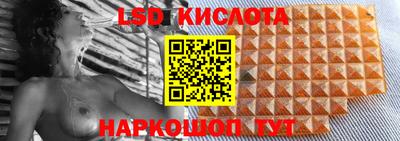 гидропоника Донской