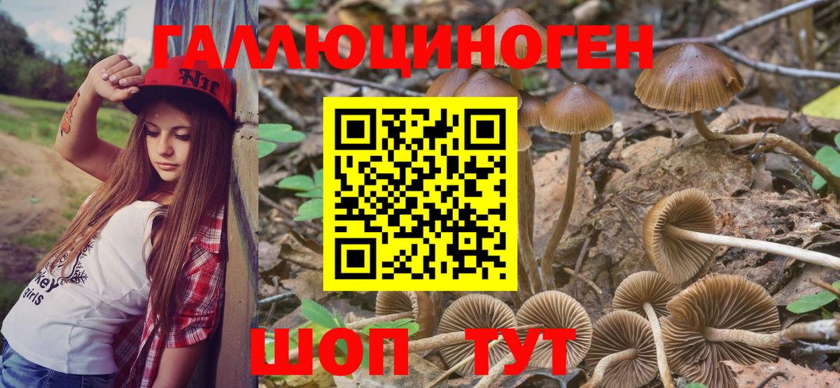 Киреевск  Галлюциногенные грибы мухоморы  наркошоп  Вход с VPN  Галлюциногенные грибы Psilocybine cubensis 