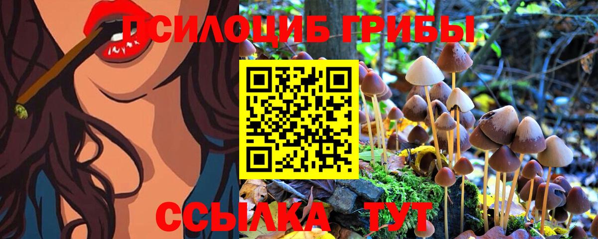 Псилоцибиновые грибы ЛСД Киреевск